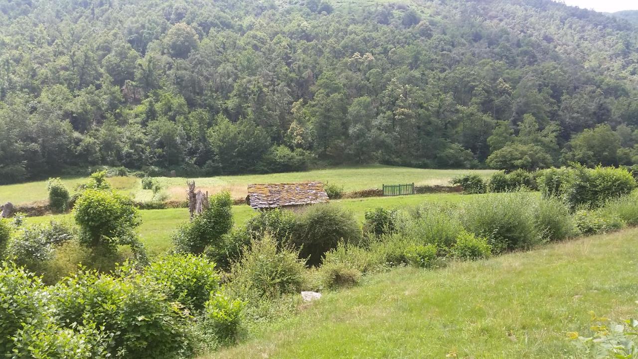 Casa Muniellos Cangas De Narcea Exteriör bild